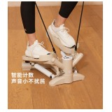 Small household stepper小型家用踏步机
